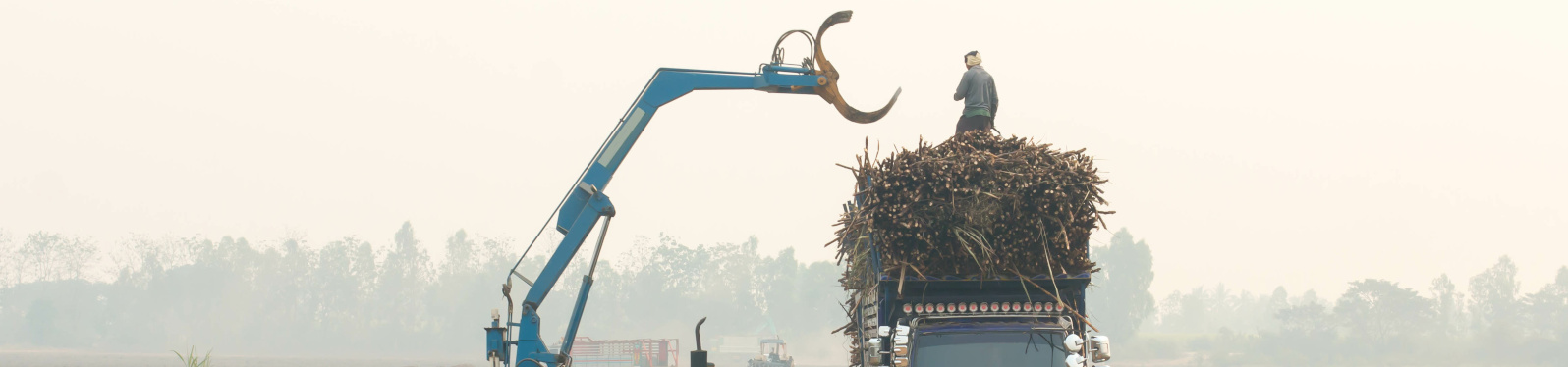 Tractors clamping arm is dispatched cane truck.